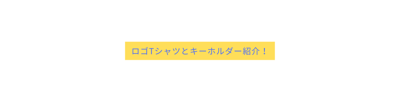 ロゴTシャツとキーホルダー紹介